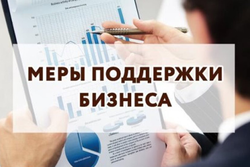Информационный буклет о мерах государственной поддержки для предпринимателей