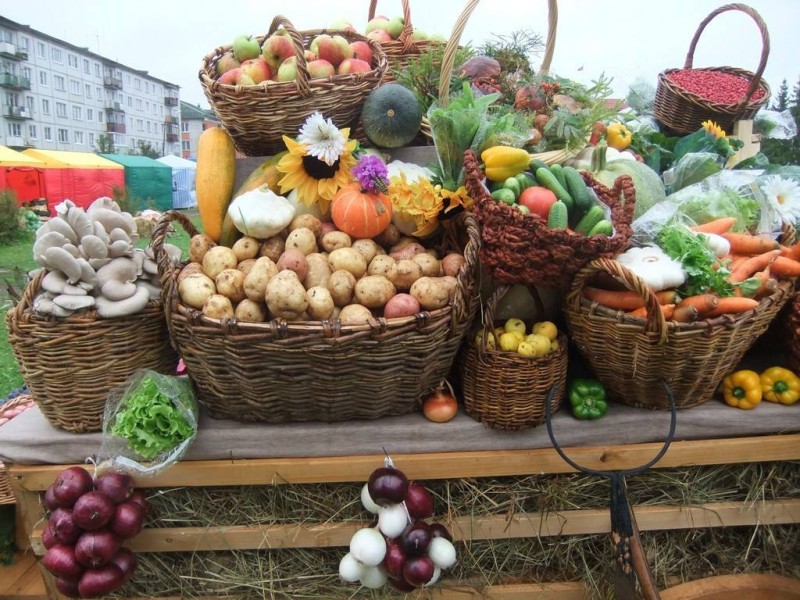 Сельскохозяйственная ярмарка в Каспийске. 18 июня 2022 г.